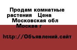 Продам комнатные растения › Цена ­ 100 - Московская обл., Москва г.  »    